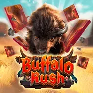 Buffalo RushAdvantplay