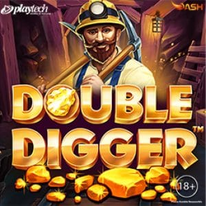 Double Digger™ game thumbnail